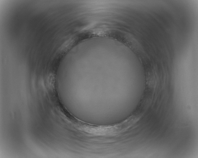 X0000062650036200512211243