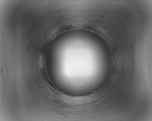 X0000062650038200512211243