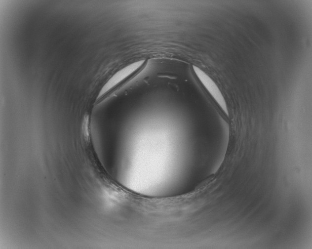 X0000062650041200512211243