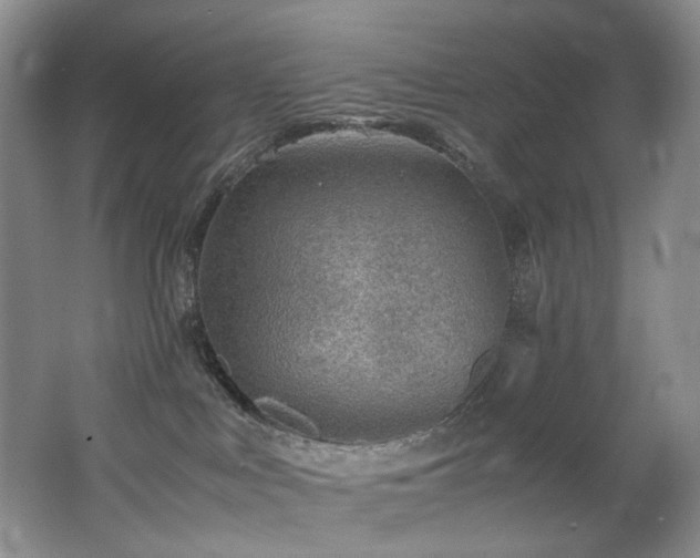 X0000062650043200512211243