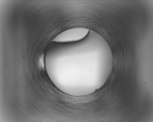 X0000062650046200512211243