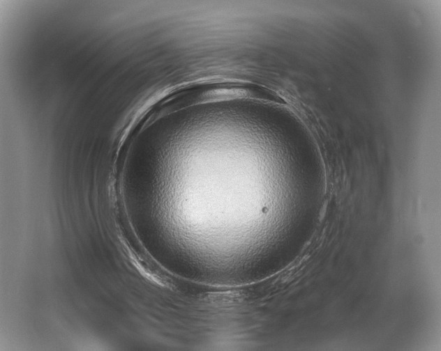X0000062650050200512211242