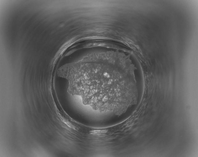 X0000062650051200512211242