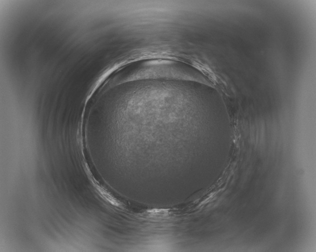 X0000062650052200512211242