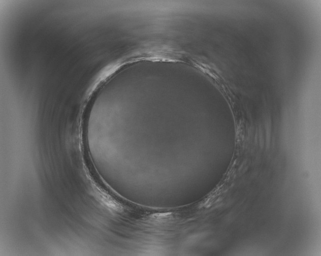 X0000062650054200512211242