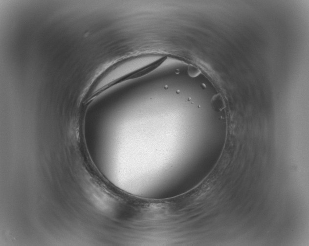 X0000062650060200512211242