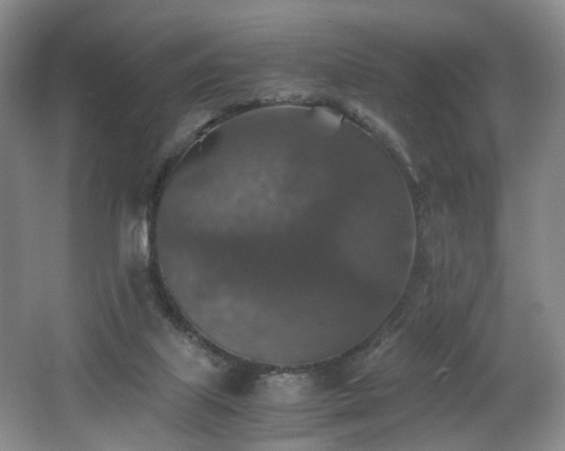 X0000062650067200512211242
