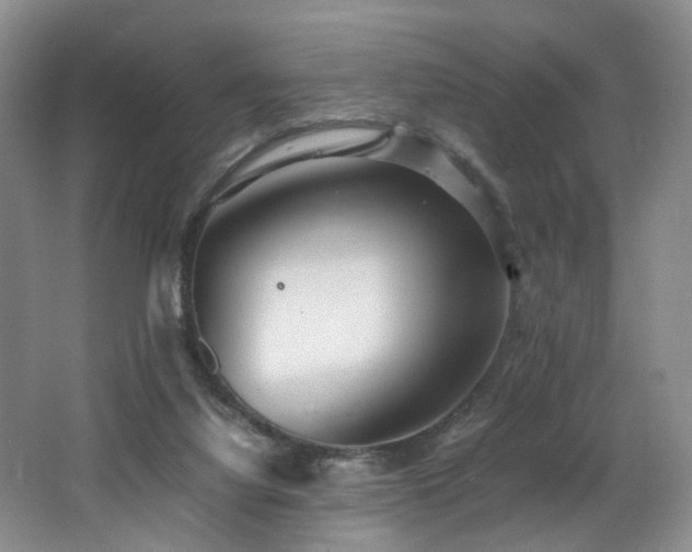 X0000062650068200512211242