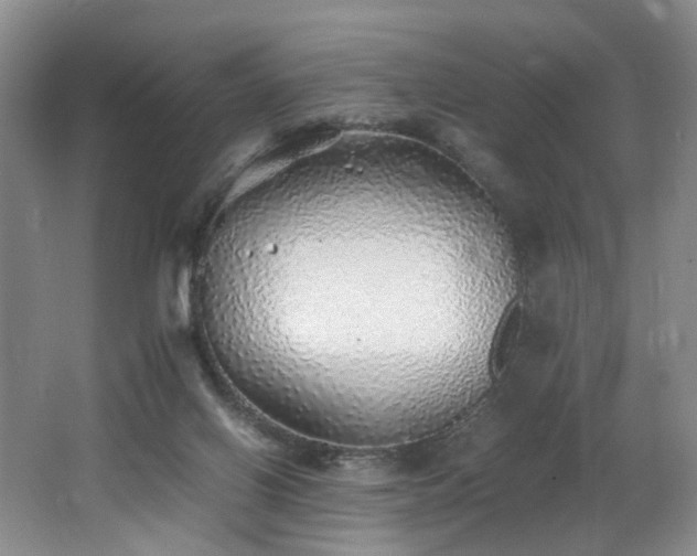 X0000062650070200512211242