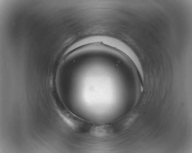 X0000062650072200512211243