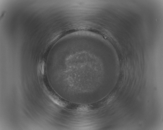 X0000062650076200512211243