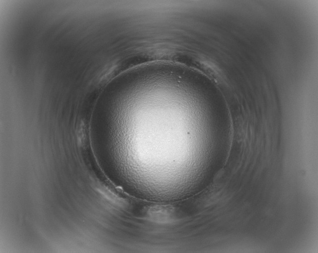 X0000062650077200512211243