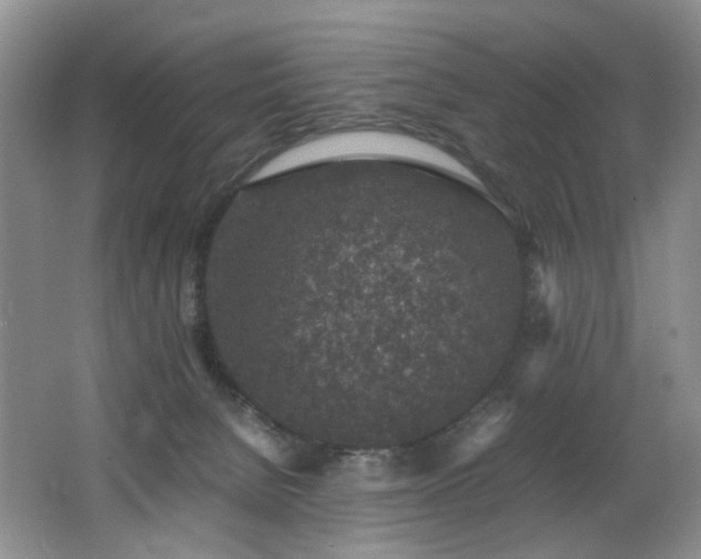 X0000062650080200512211243