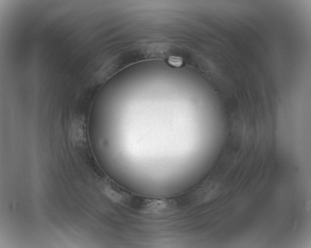 X0000062650083200512211243