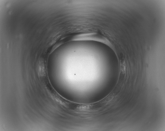 X0000062650084200512211243