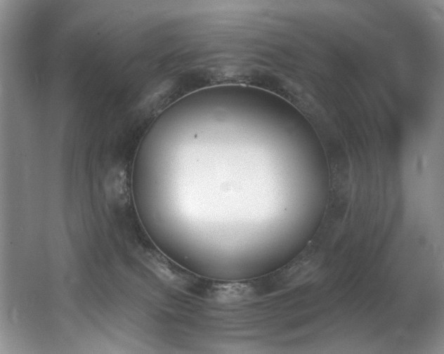 X0000062650087200512211243