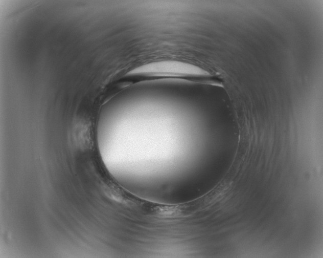 X0000062650088200512211243