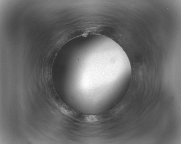 X0000062650091200512211243