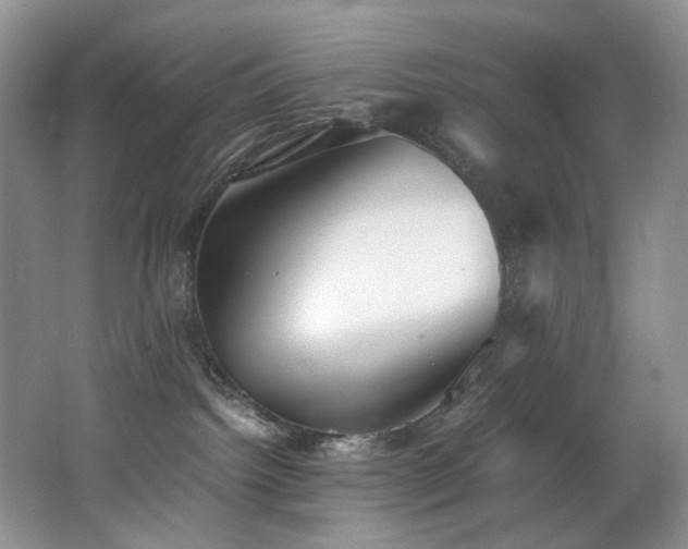 X0000062650092200512211243
