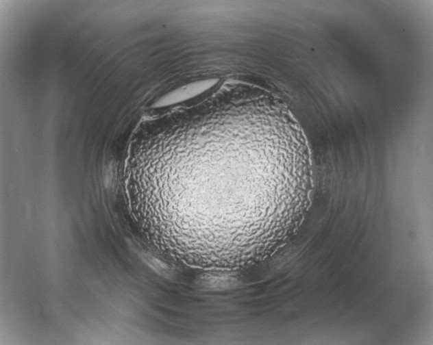 X0000062650093200512211243