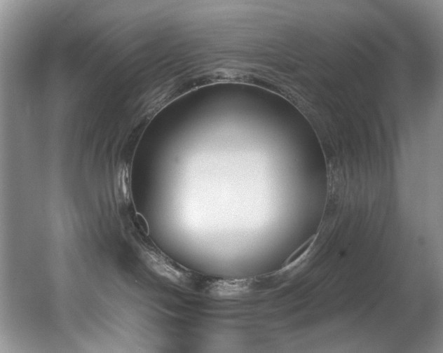 X0000062650094200512211243