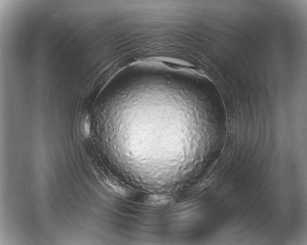 X0000062650095200512211243