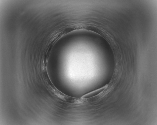 X0000062650096200512211243