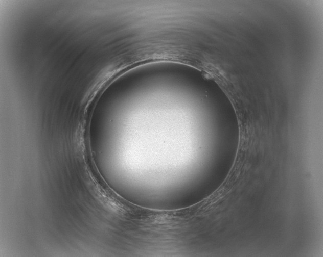 X0000062650098200512211242