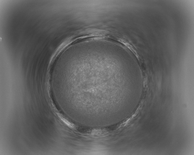 X0000062650101200512211242
