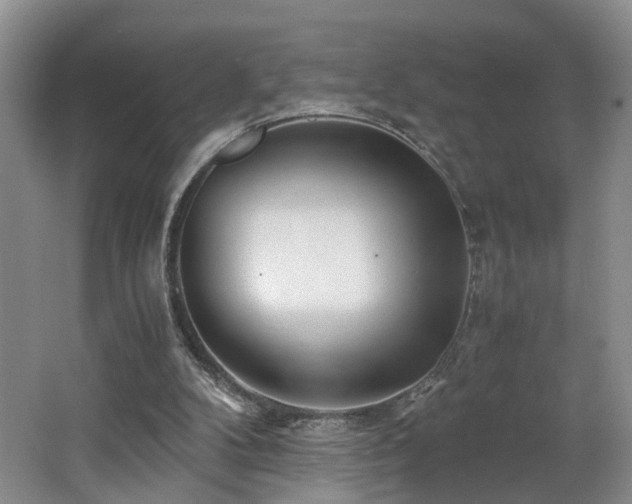 X0000062650104200512211242