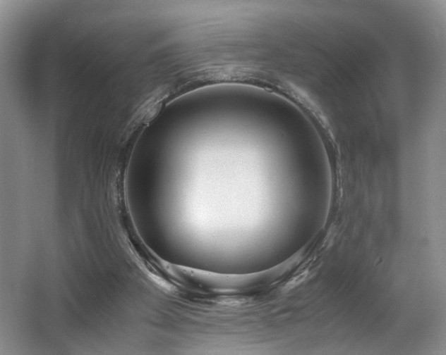 X0000062650105200512211242