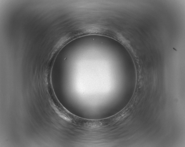 X0000062650106200512211242