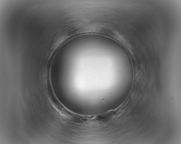 X0000062650107200512211242