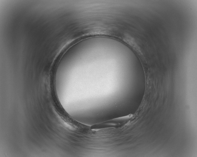X0000062650108200512211242