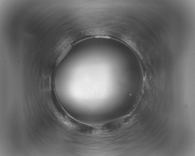 X0000062650109200512211242