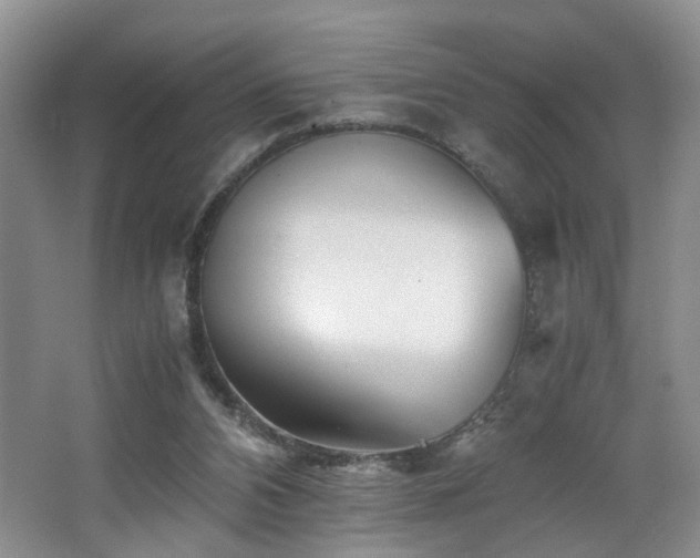 X0000062650112200512211242