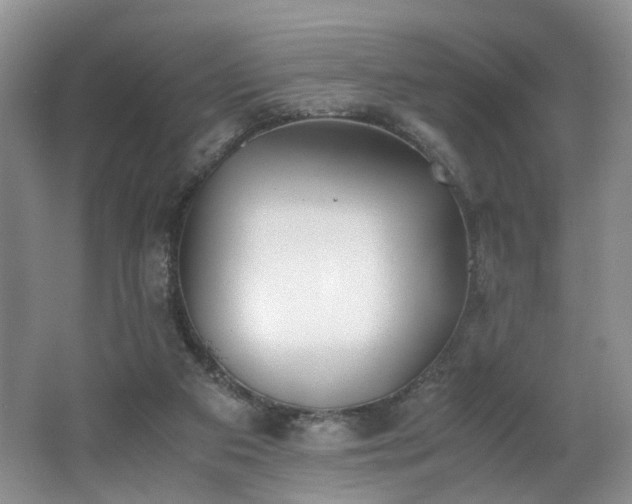 X0000062650113200512211242