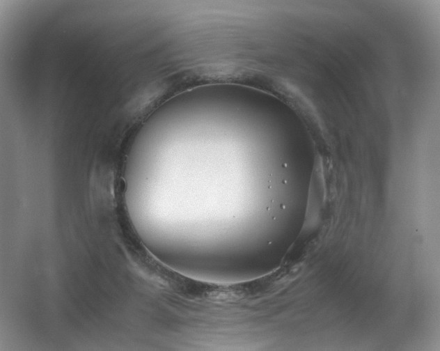 X0000062650115200512211242