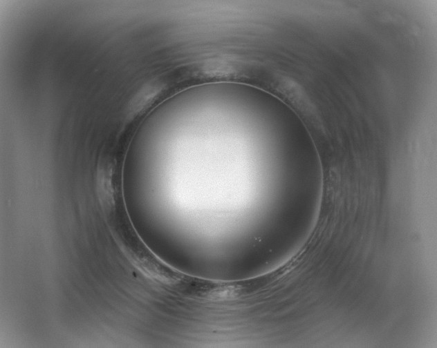 X0000062650116200512211242