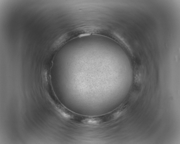 X0000062650117200512211242