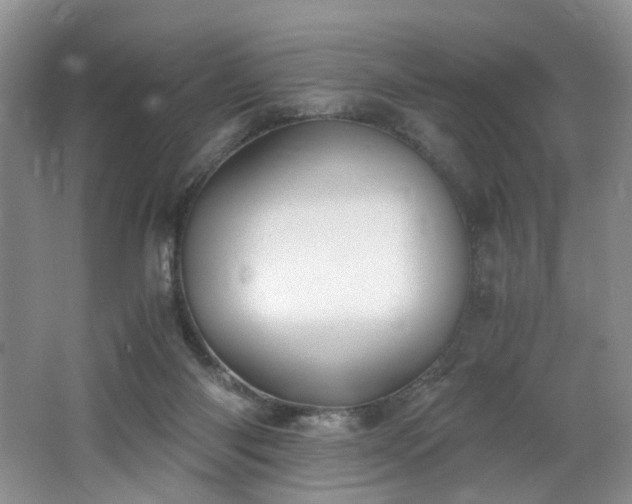 X0000062650118200512211242