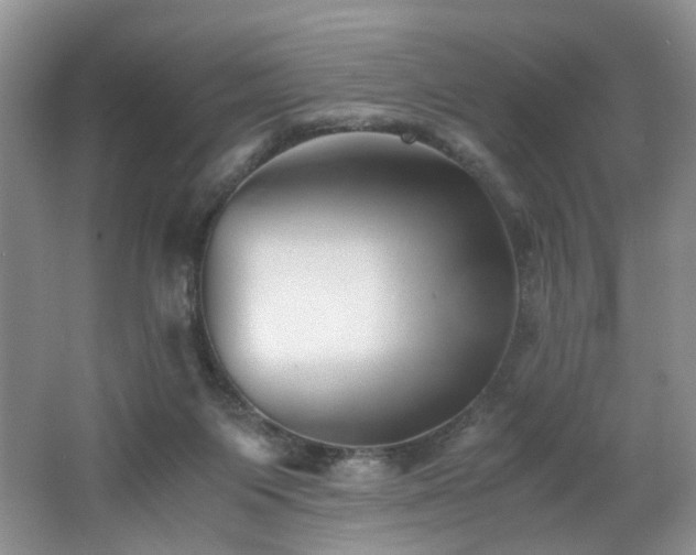 X0000062650119200512211242