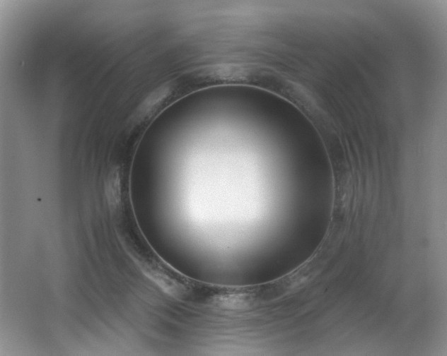 X0000062650120200512211242