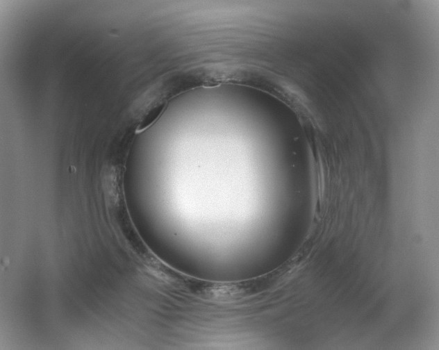 X0000062650121200512211242