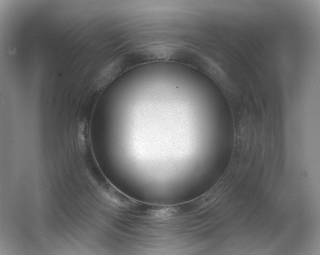 X0000062650122200512211242