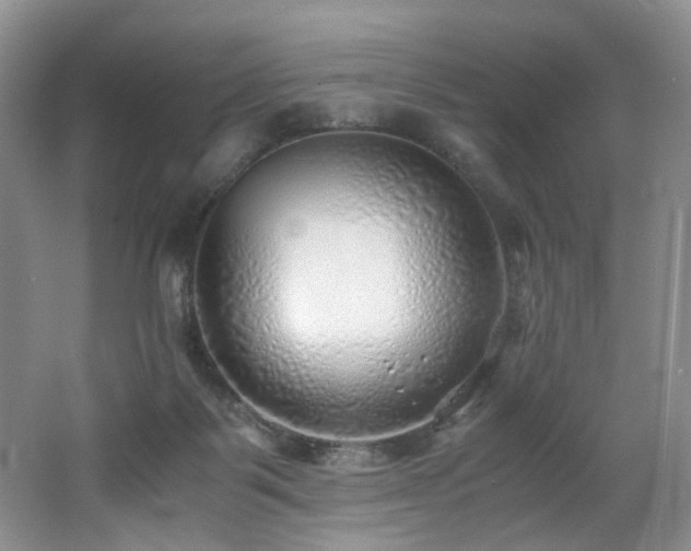 X0000062650123200512211242