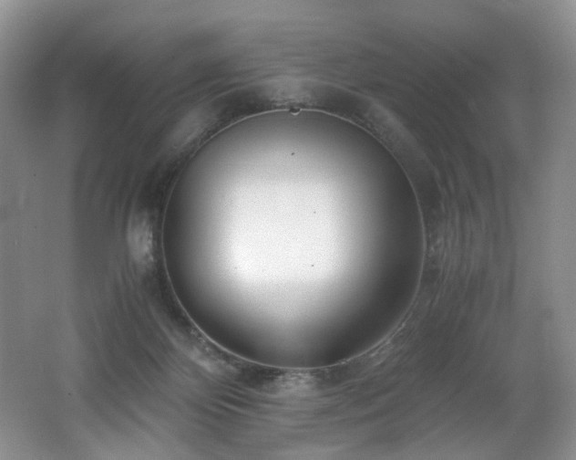 X0000062650124200512211242