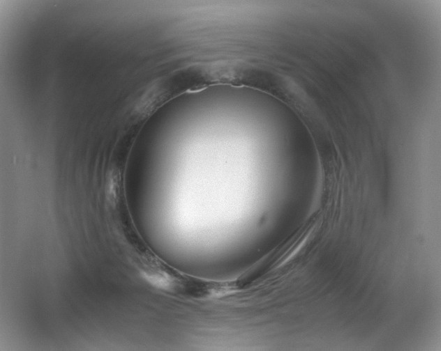 X0000062650125200512211242
