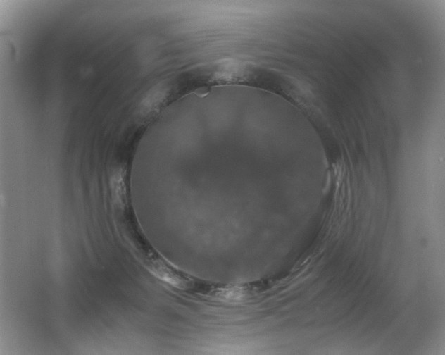 X0000062650127200512211242