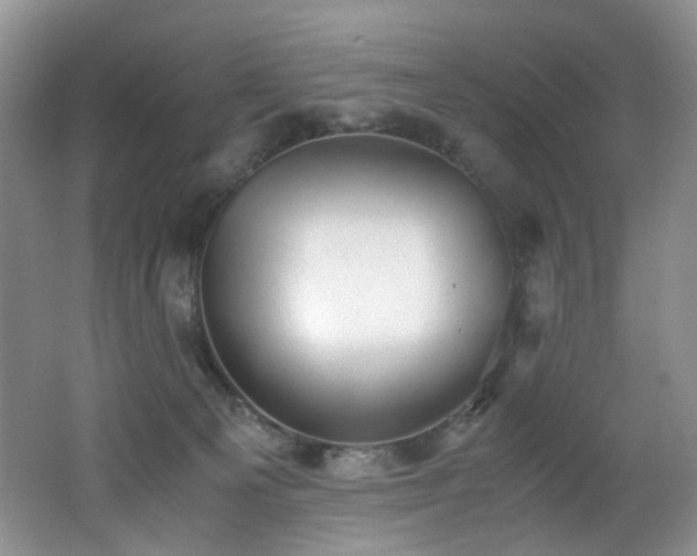 X0000062650129200512211242